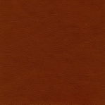 CITY chocolate 44953